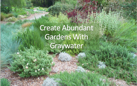 slide of title: Create Abundant Gardens with Graywater
